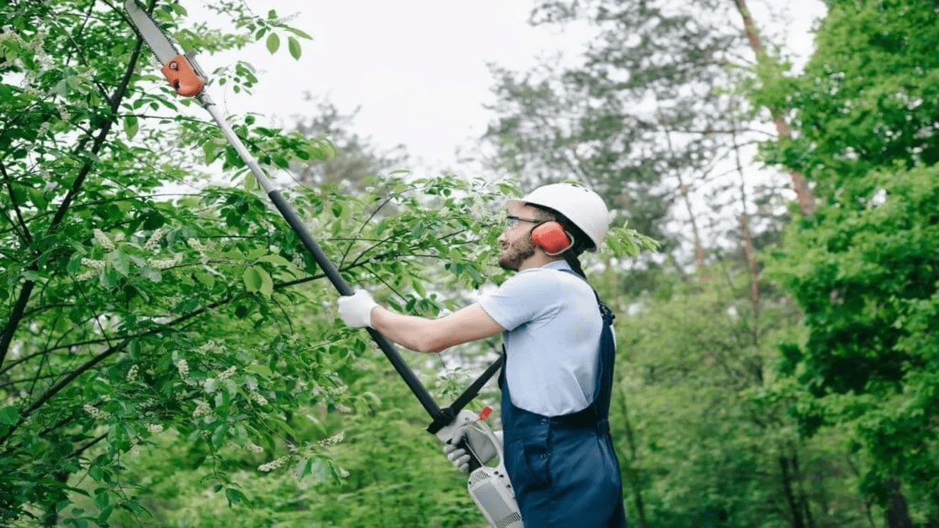 Pole Saw