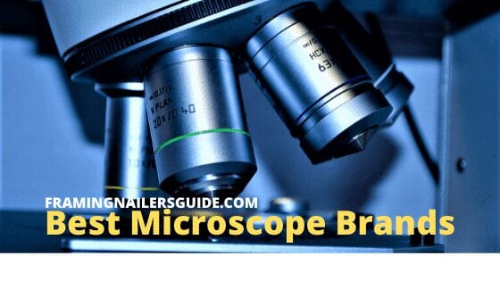 Best Microscope Brands: Top Microscope Manufacturers