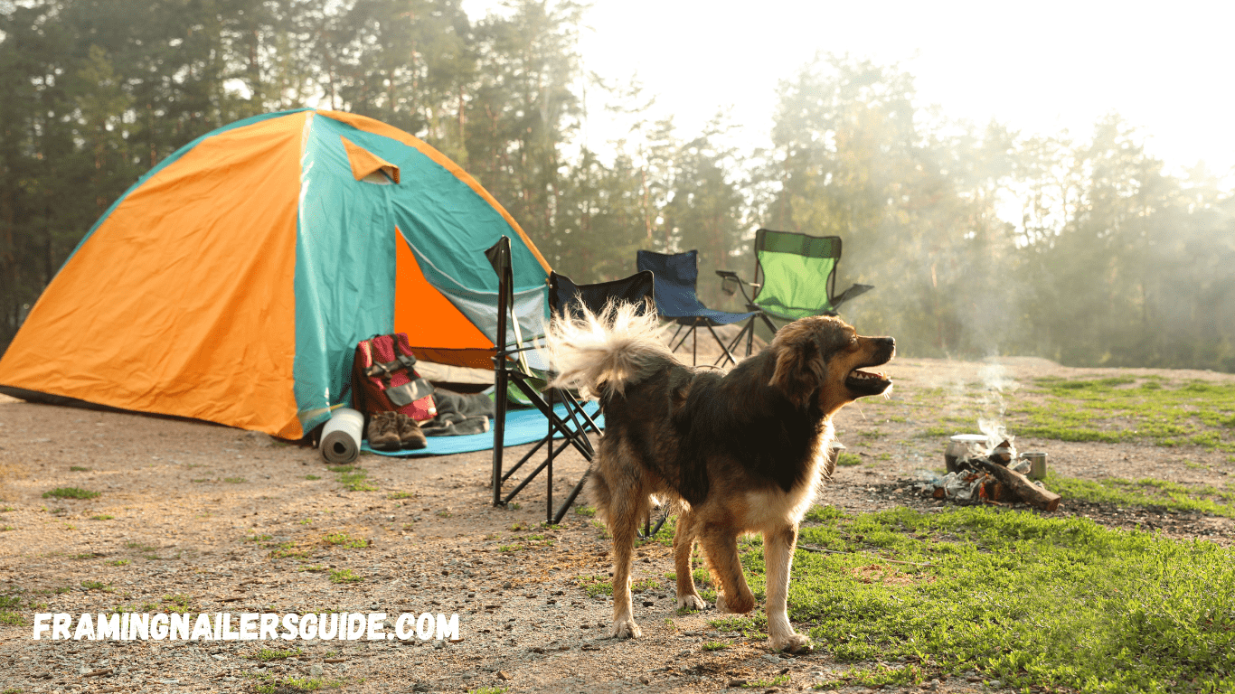 Camping Gear for Dogs